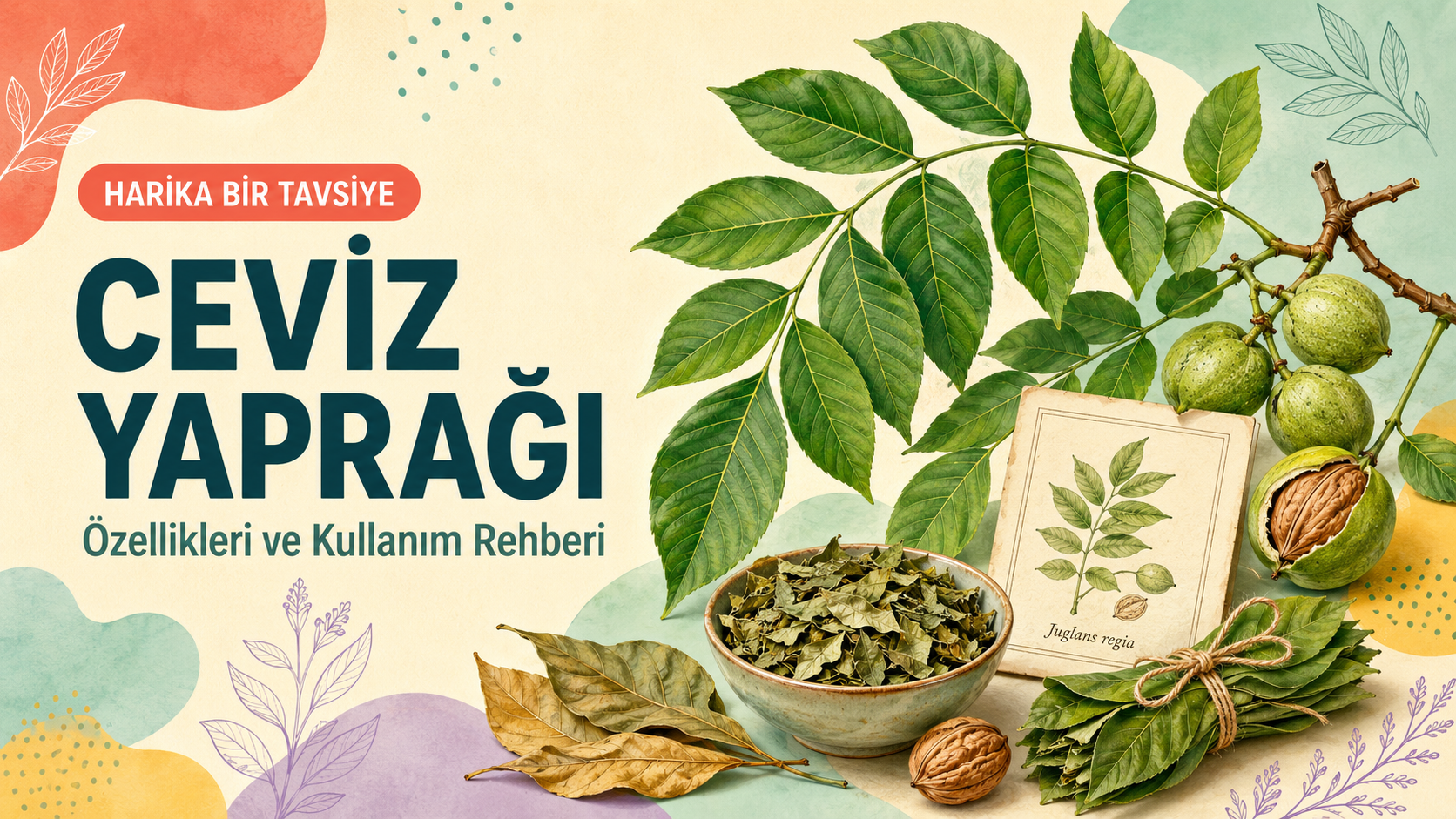 Ceviz Yaprağı: Kullanımı ve Güvenlik Rehberi