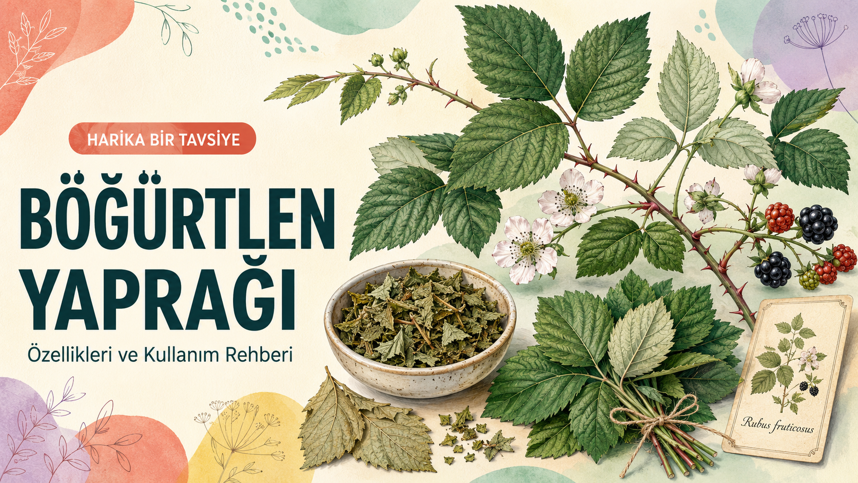 Böğürtlen Yaprağı Çayı: Kullanım ve Güvenlik