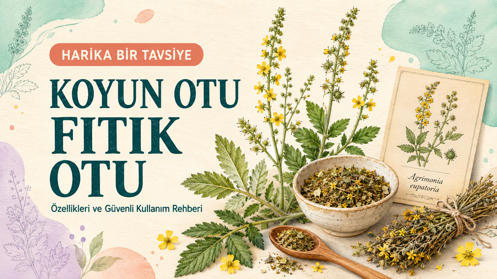 Koyun Otu: Kullanımı, Faydaları ve Uyarılar