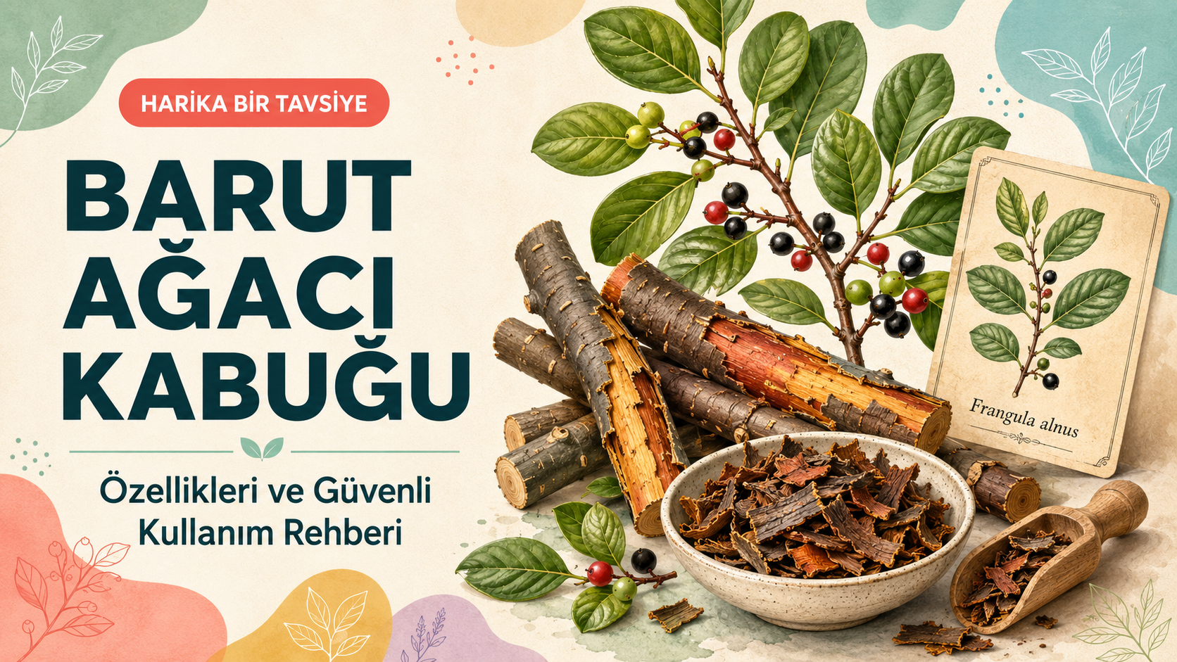 Barut Ağacı Kabuğu: Kullanımı ve Faydaları Rehberi
