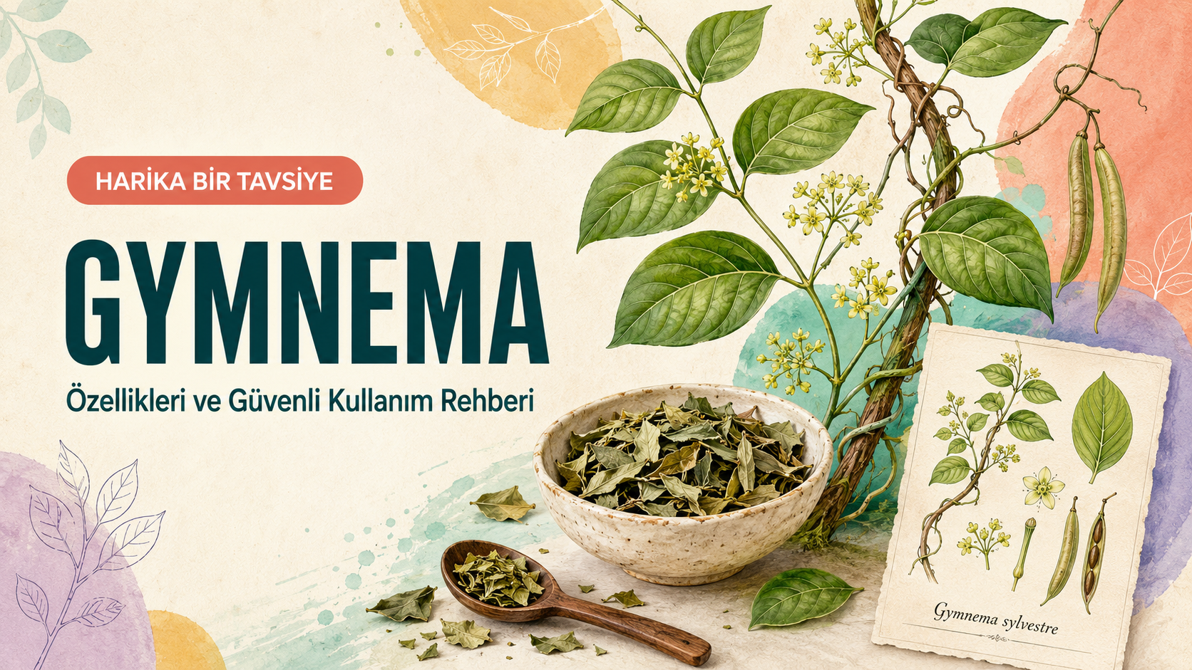Gymnema Nedir? Tatlı Algısı ve Güvenlik Rehberi