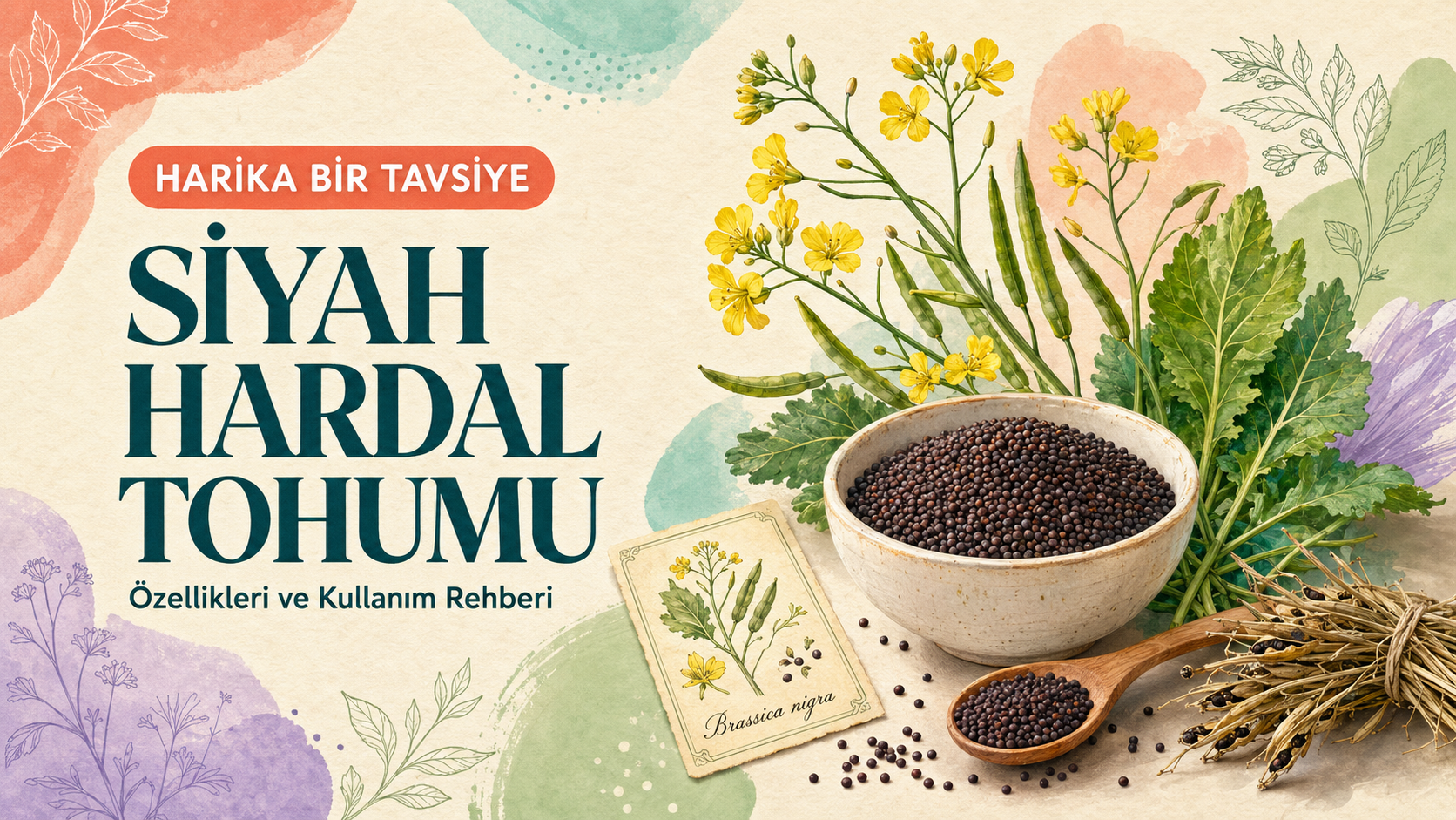 Siyah Hardal Tohumu Nasıl Kullanılır? Güvenlik Rehberi