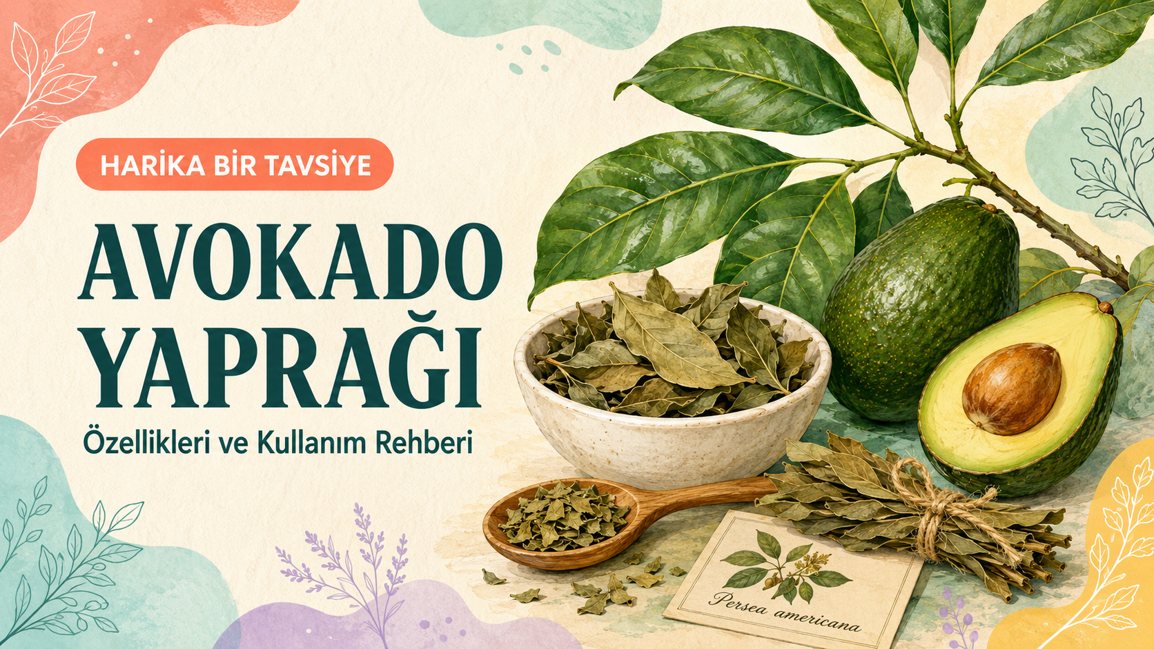 Avokado Yaprağı Çayı Güvenli mi? Kullanım Rehberi