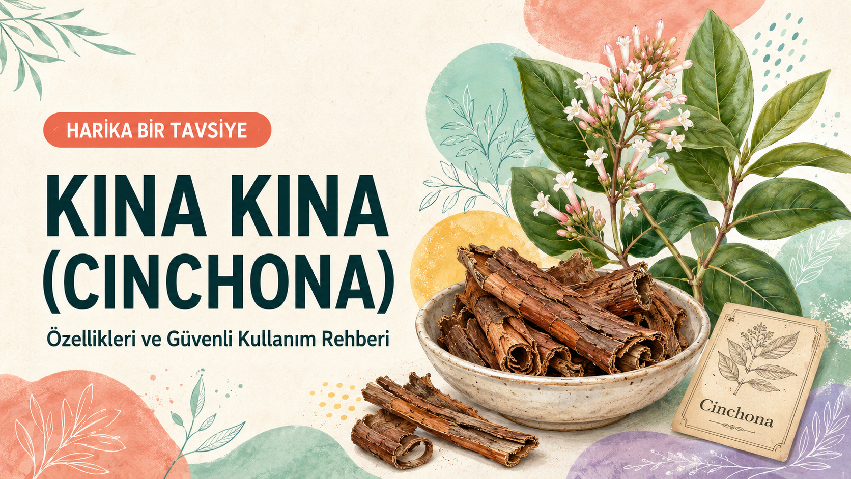Kına Kına Kabuğu: Kınin, Tarihi ve Riskleri