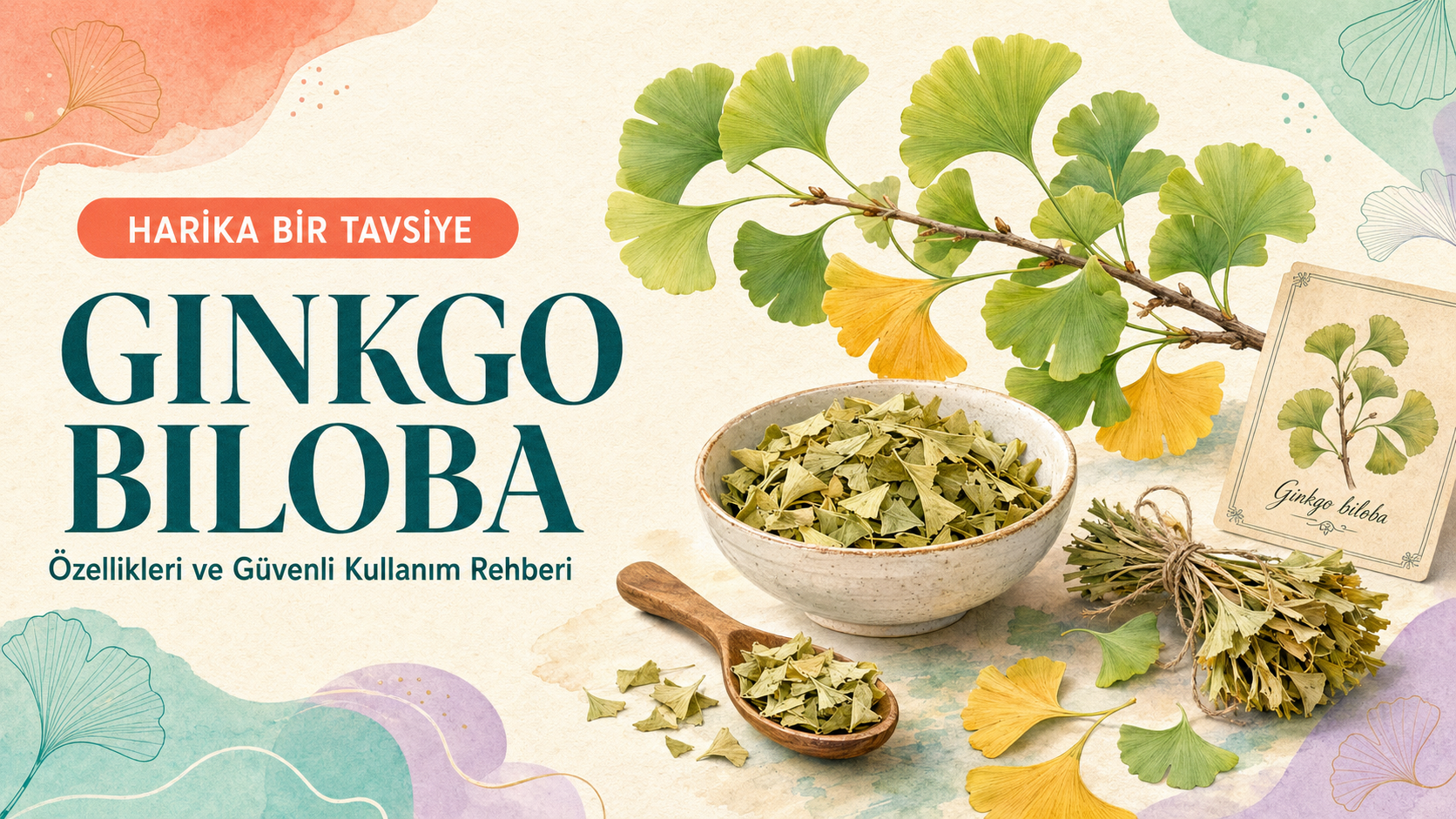 Ginkgo Biloba: Faydaları, Kanıtlar ve Uyarılar