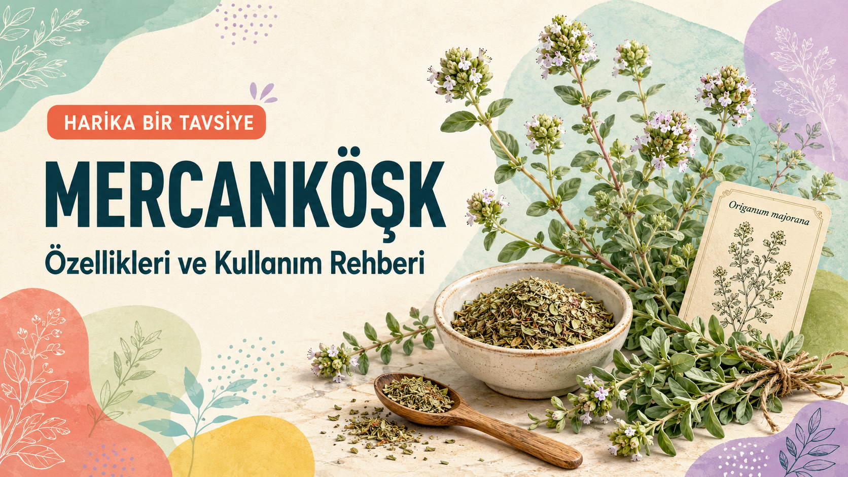 Mercanköşk Nedir? Kullanımı ve Faydaları Rehberi