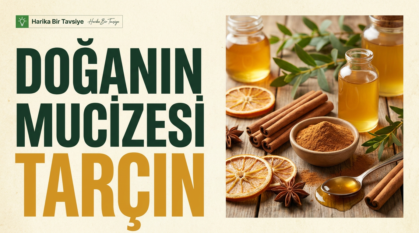 Doğanın Mucizesi Tarçın: Faydaları ve Kullanım Rehberi